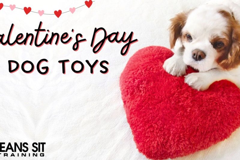 Fun Dog Toys for Valentine's Day