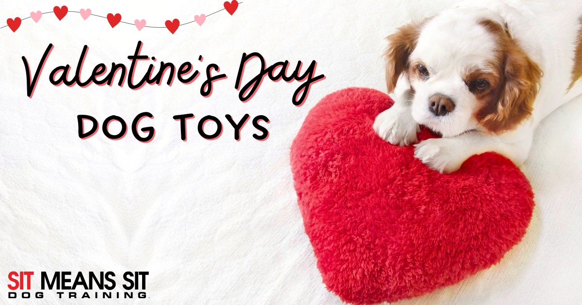 Fun Dog Toys for Valentine's Day