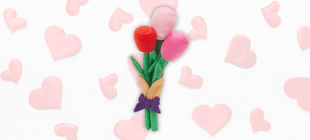 Fun Dog Toys for Valentine’s Day