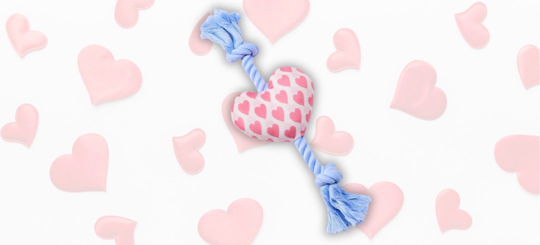 Fun Dog Toys for Valentine’s Day