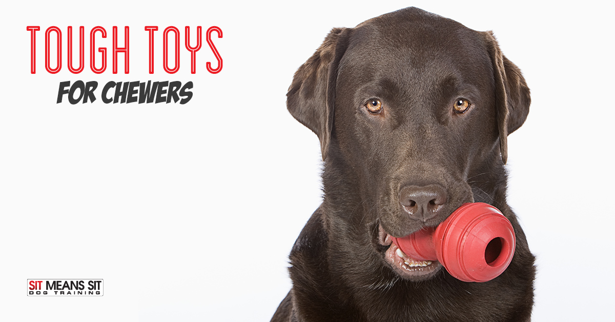 anxiety chew toys for dogs